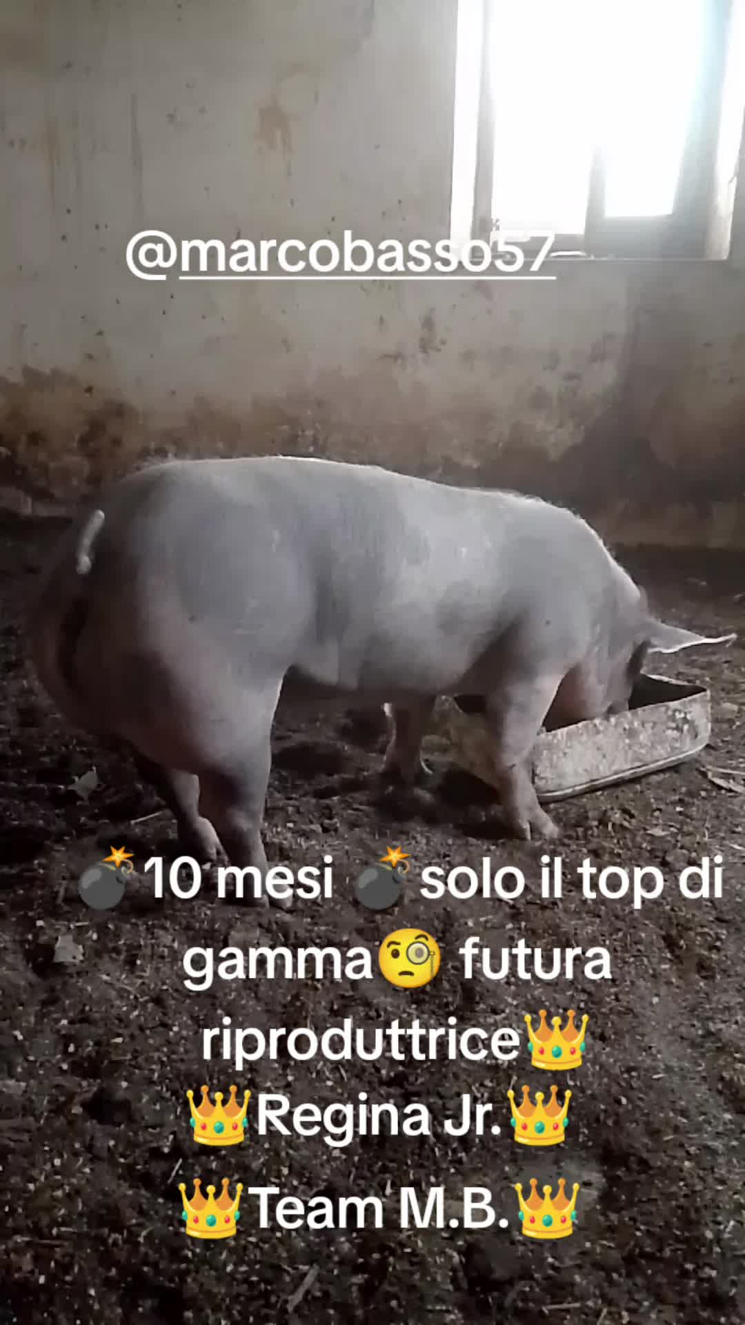 @Stefano Zagara
