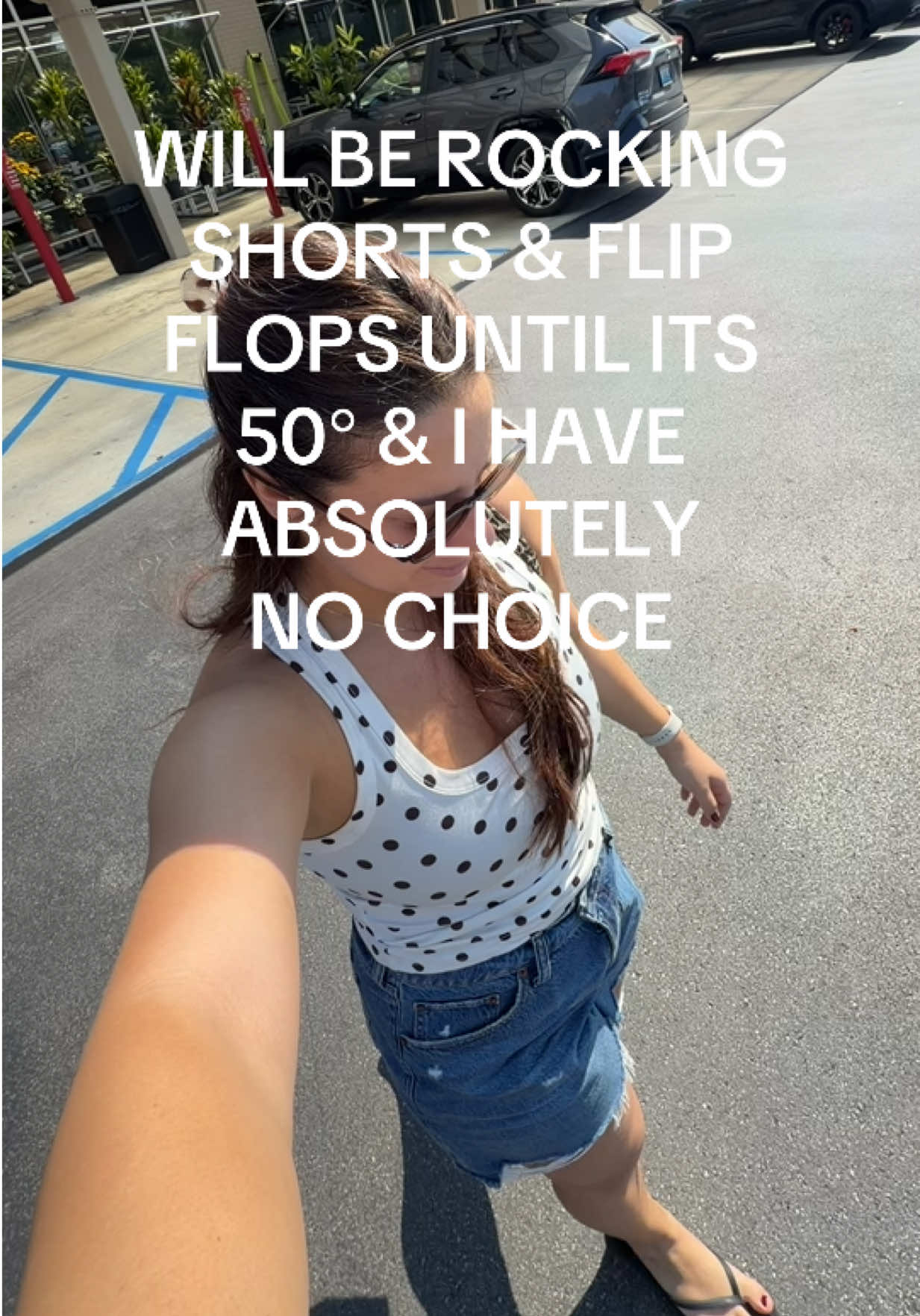 @ariifornaris