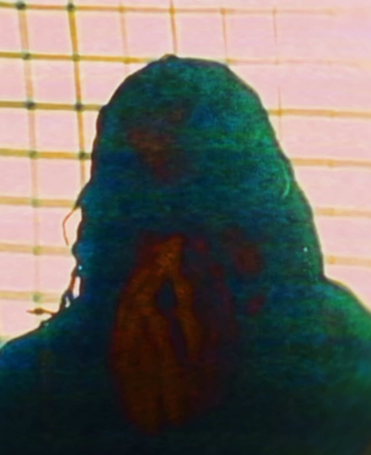@𝓘𝓜𝓕𝓔𝓝𝓣𝓛𝓨