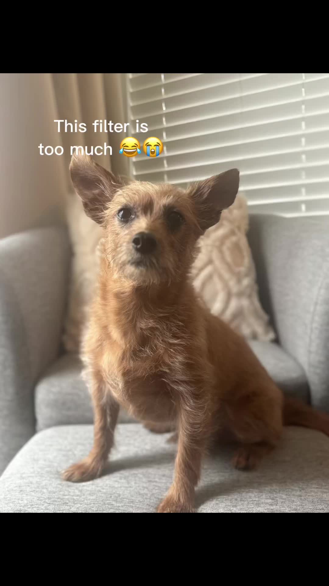 @flynn.ryder
