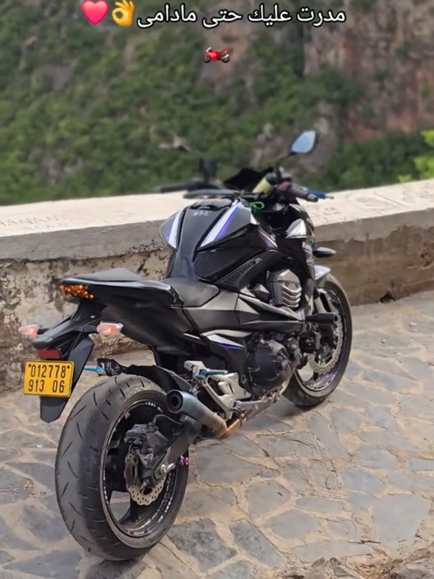 @👌le z8🙂&zwj;↕️ & s1000 ♨️
