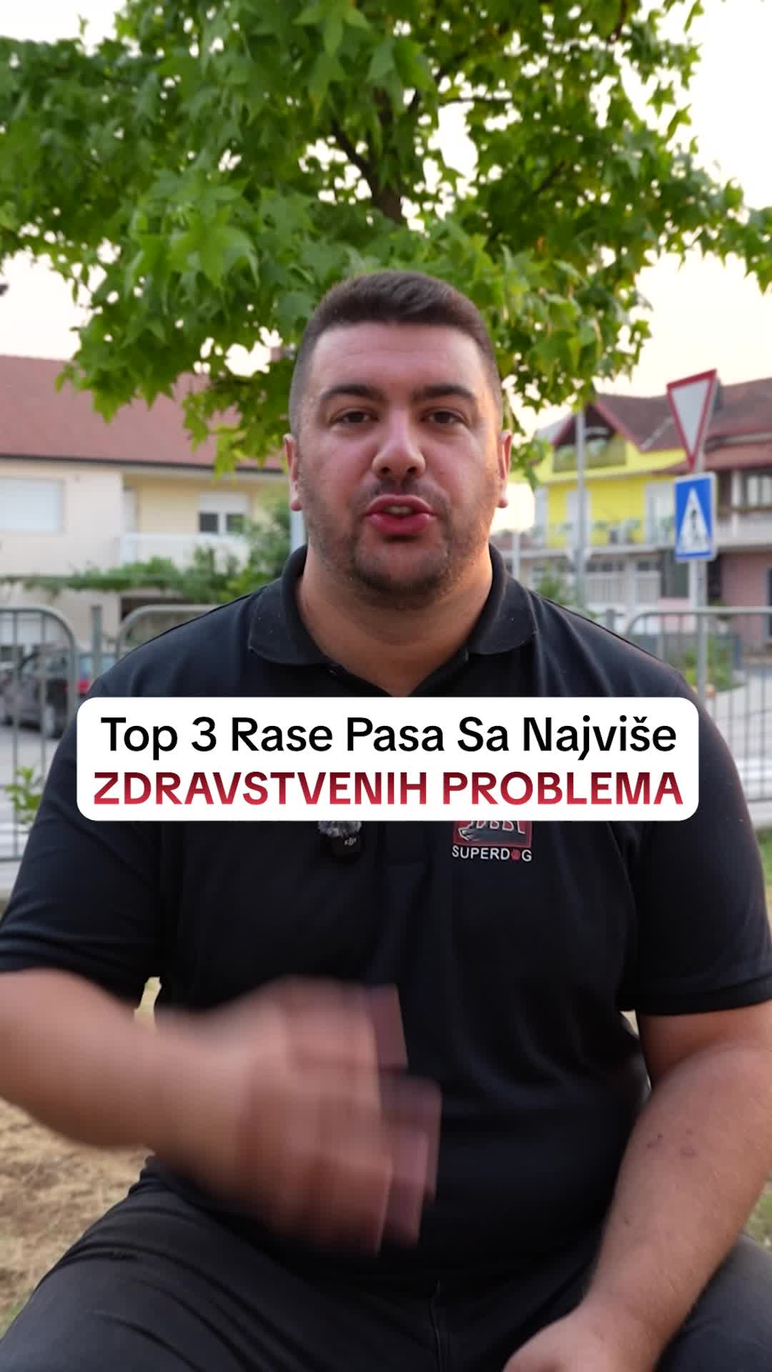 @superdog.akademija