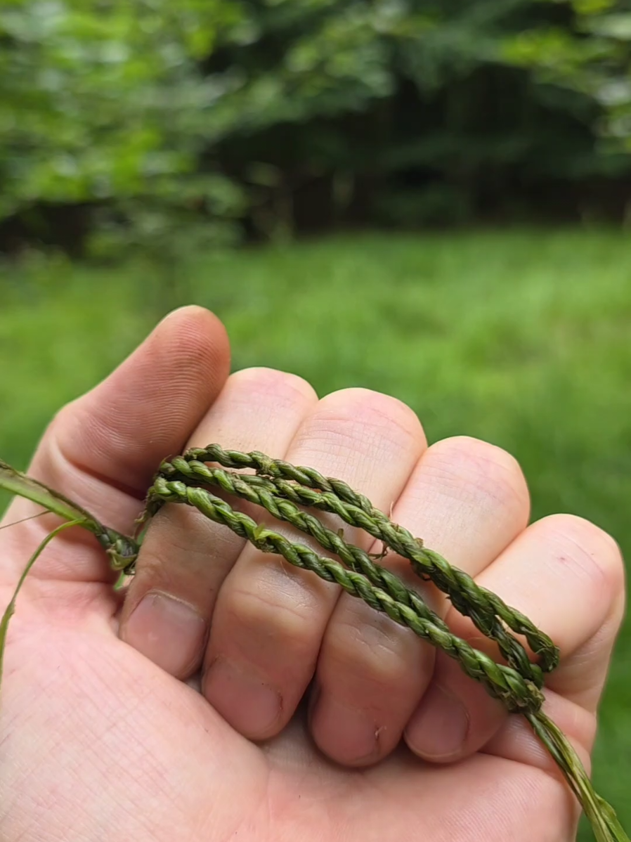 @winter_and_bushcraft