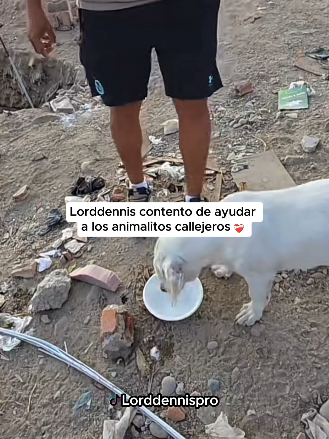 @DavidClips