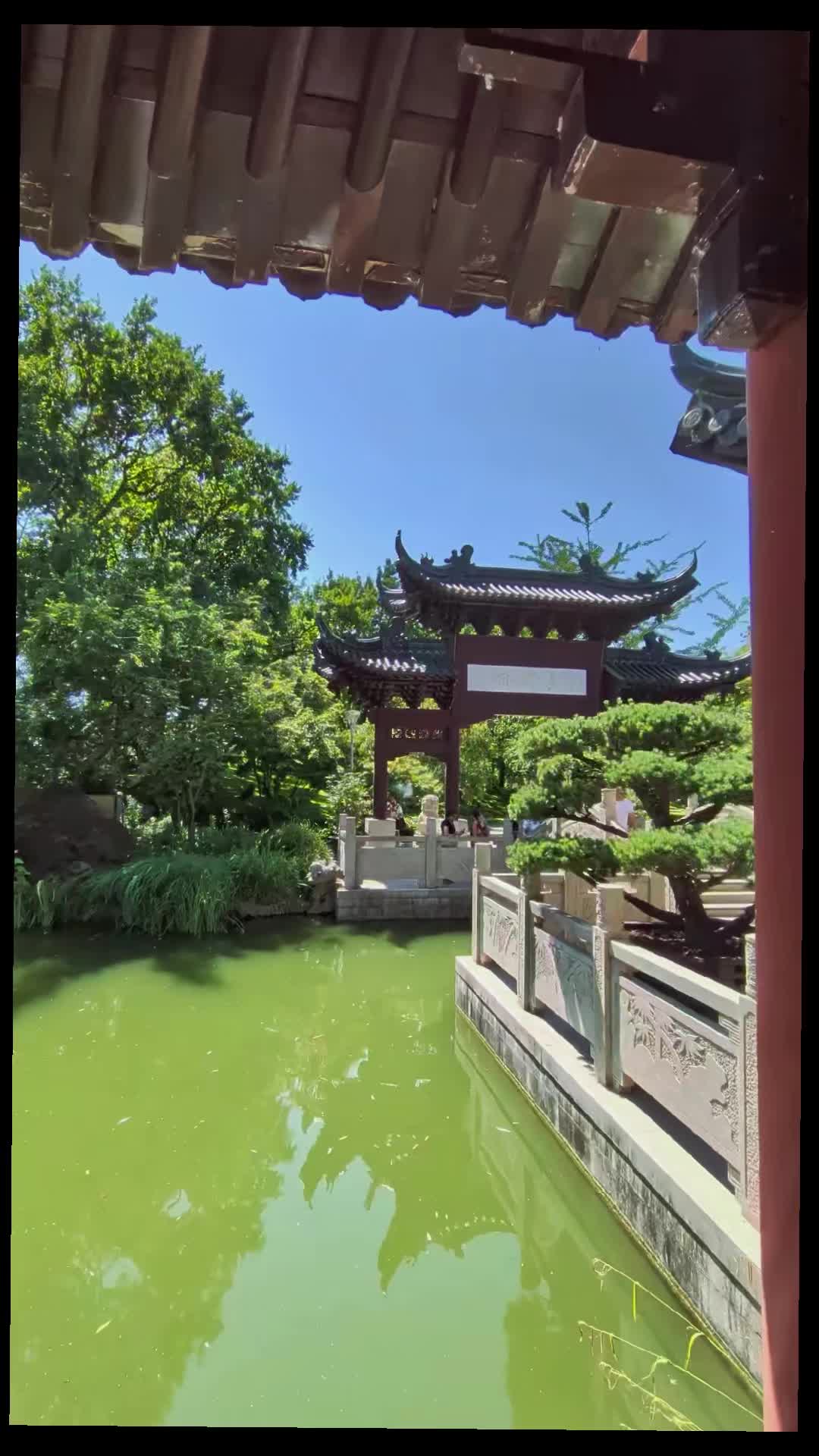 @grancea_robert