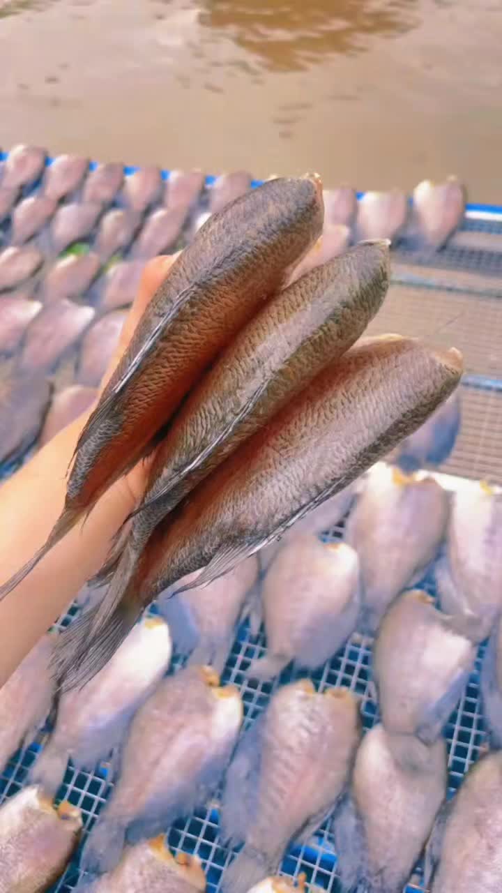 @Quốc Khánh