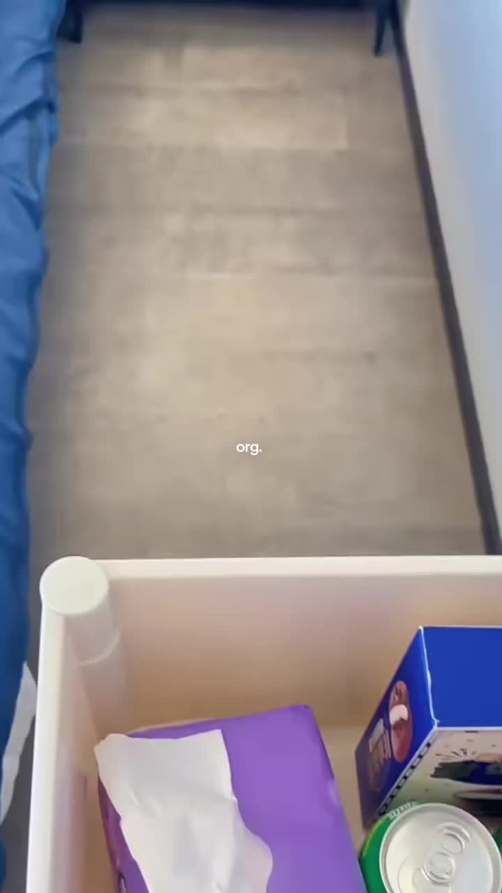 @Ms. Z ۶ৎ˙