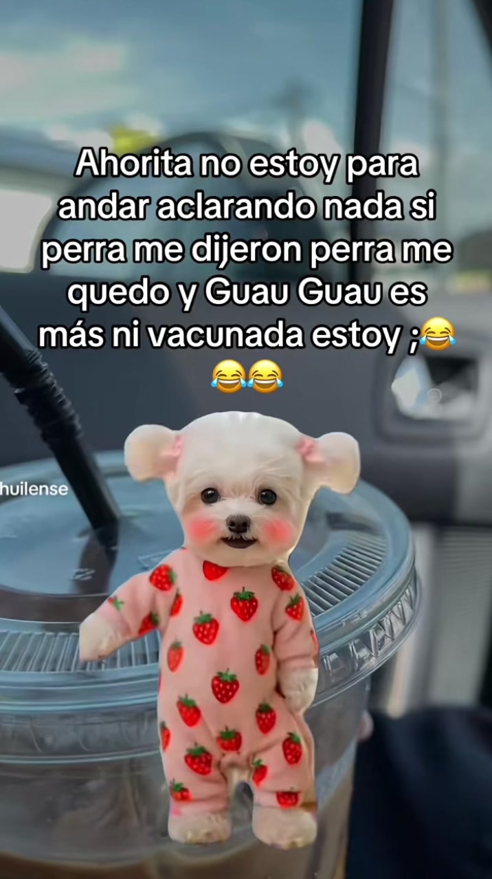 @López 512
