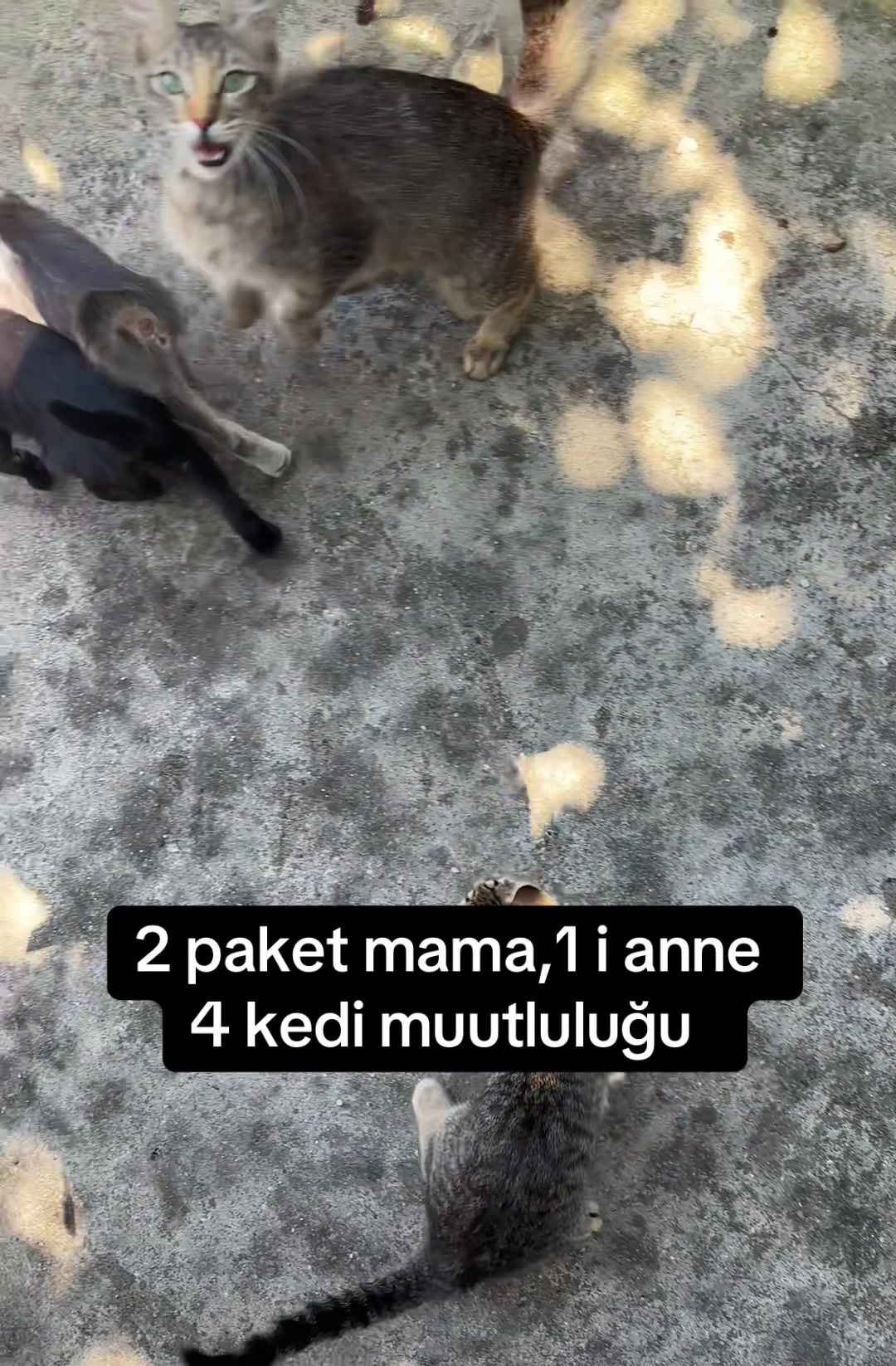 @EMRE ACAR