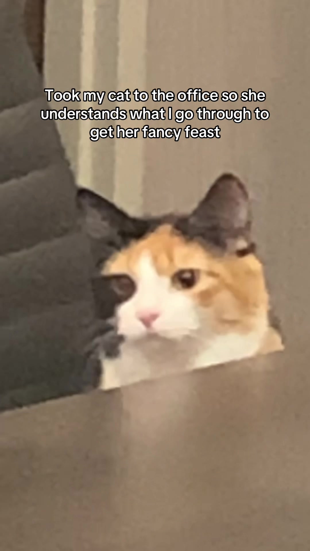 @Misa & Winston