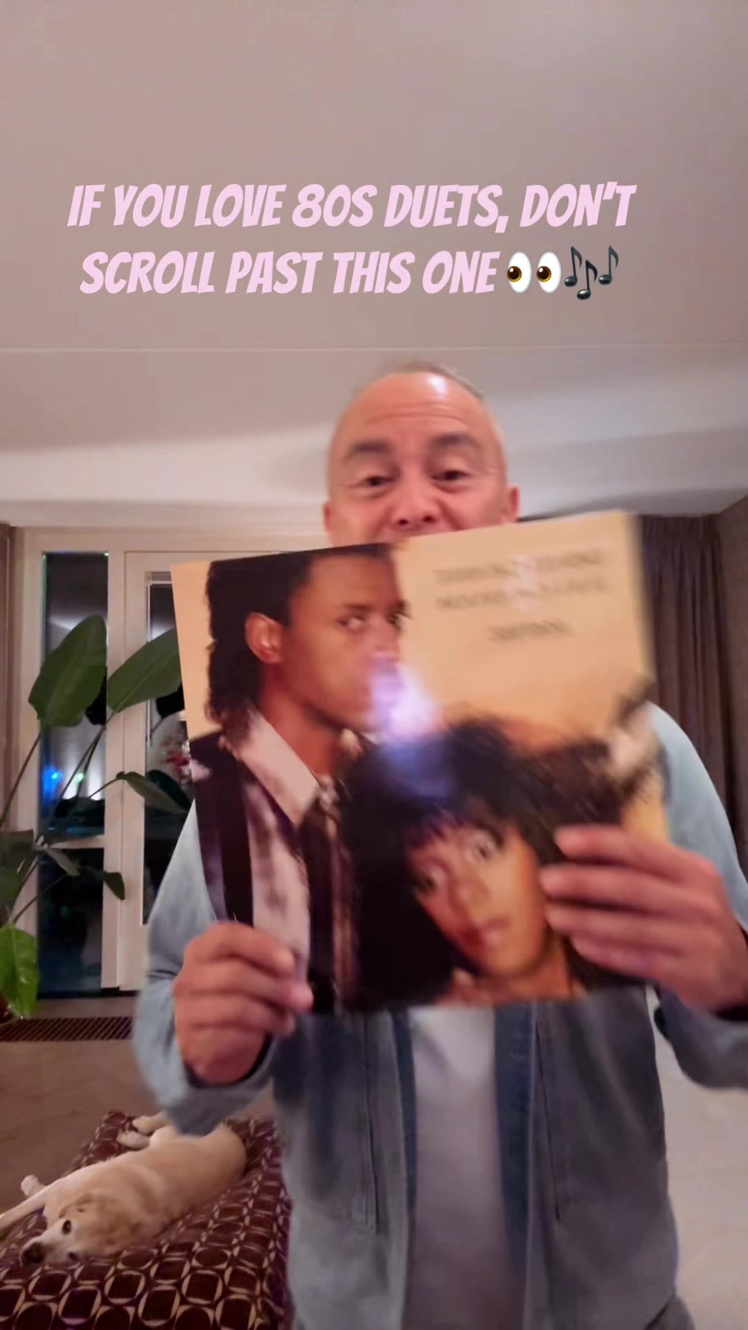 @Mike’s Vinyl Vault