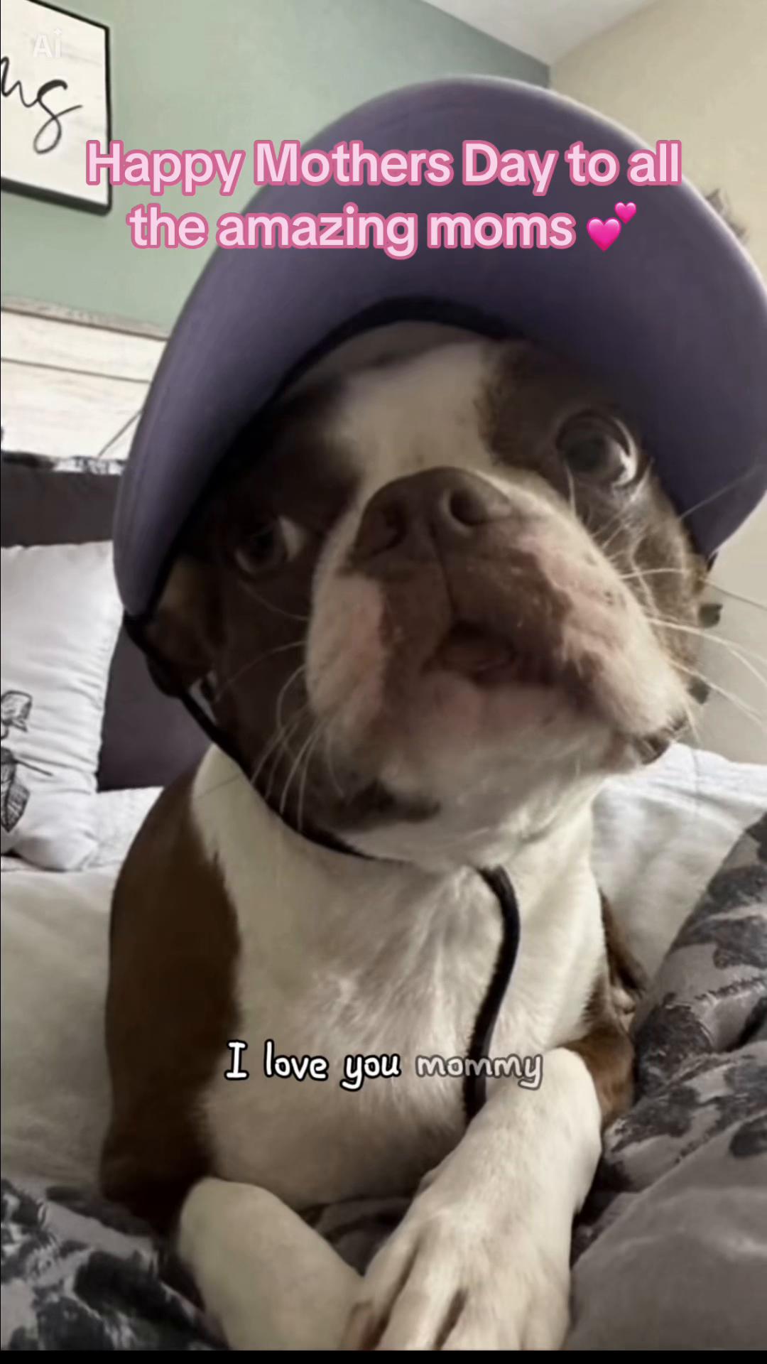 @Susie
