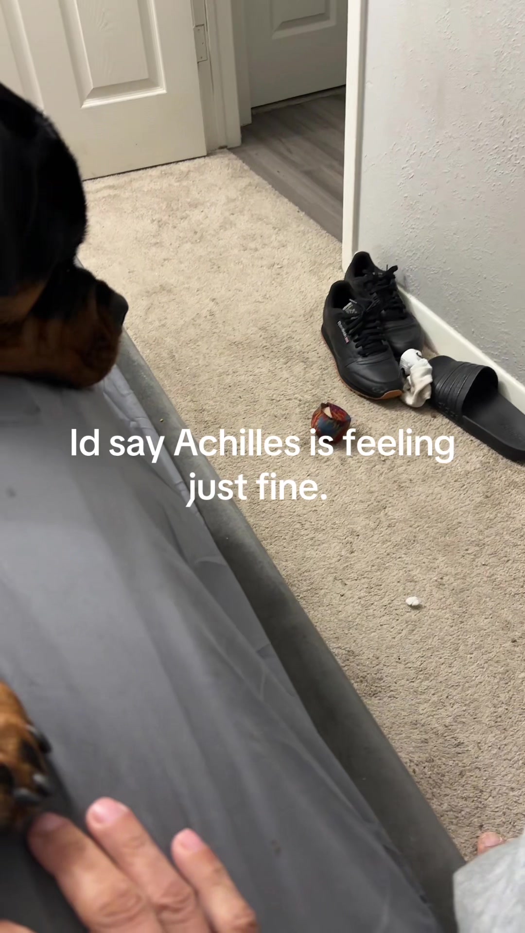 @captainflex81