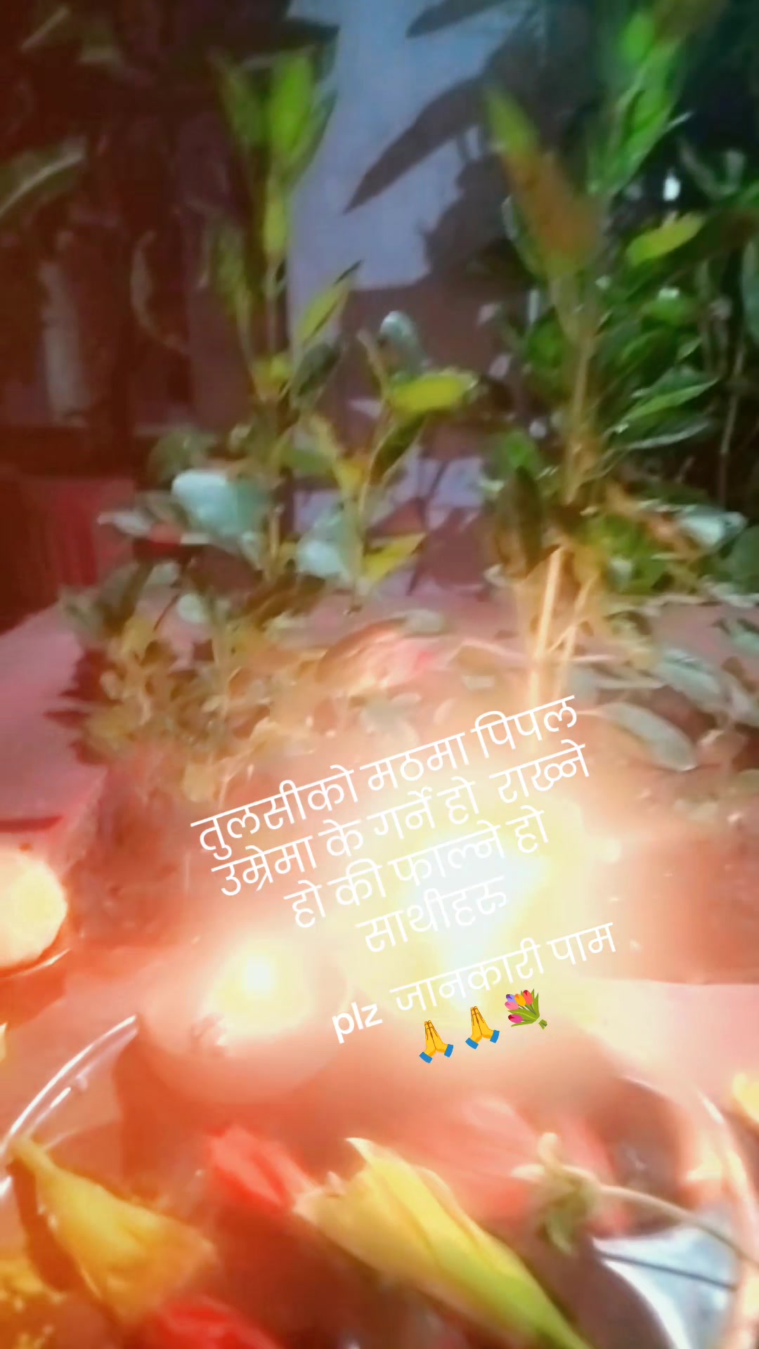 @sushila