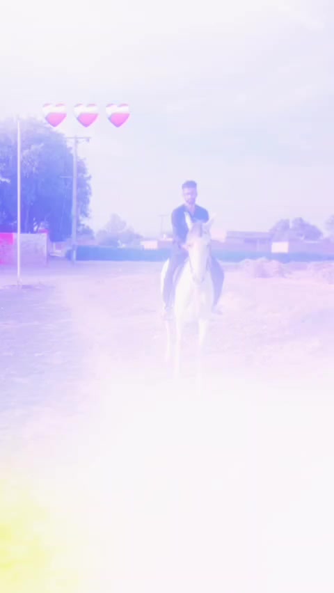 @Bhandara