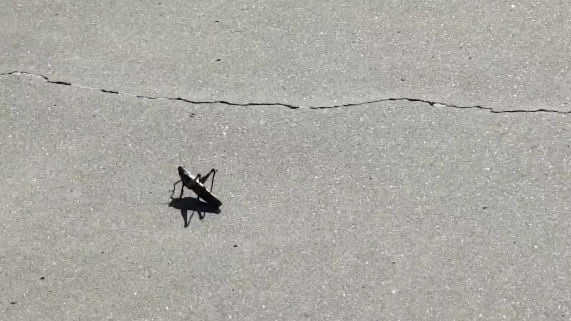 @B_lvly (✿◦’ᴗ˘◦)♡
