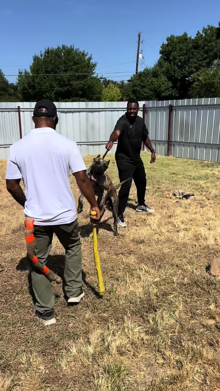 @HardBody K9 Training
