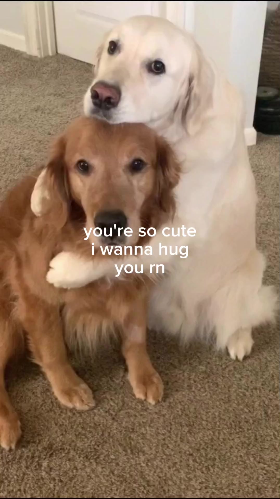 @Doug funny