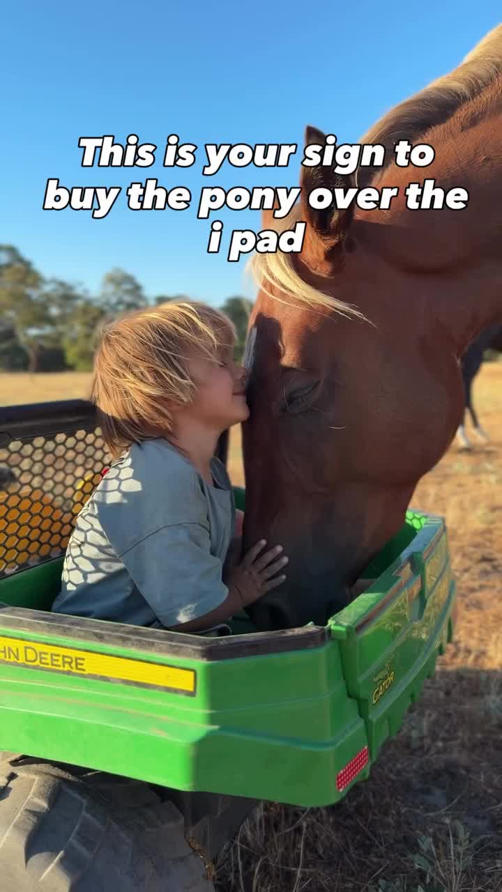 @horse 🐎