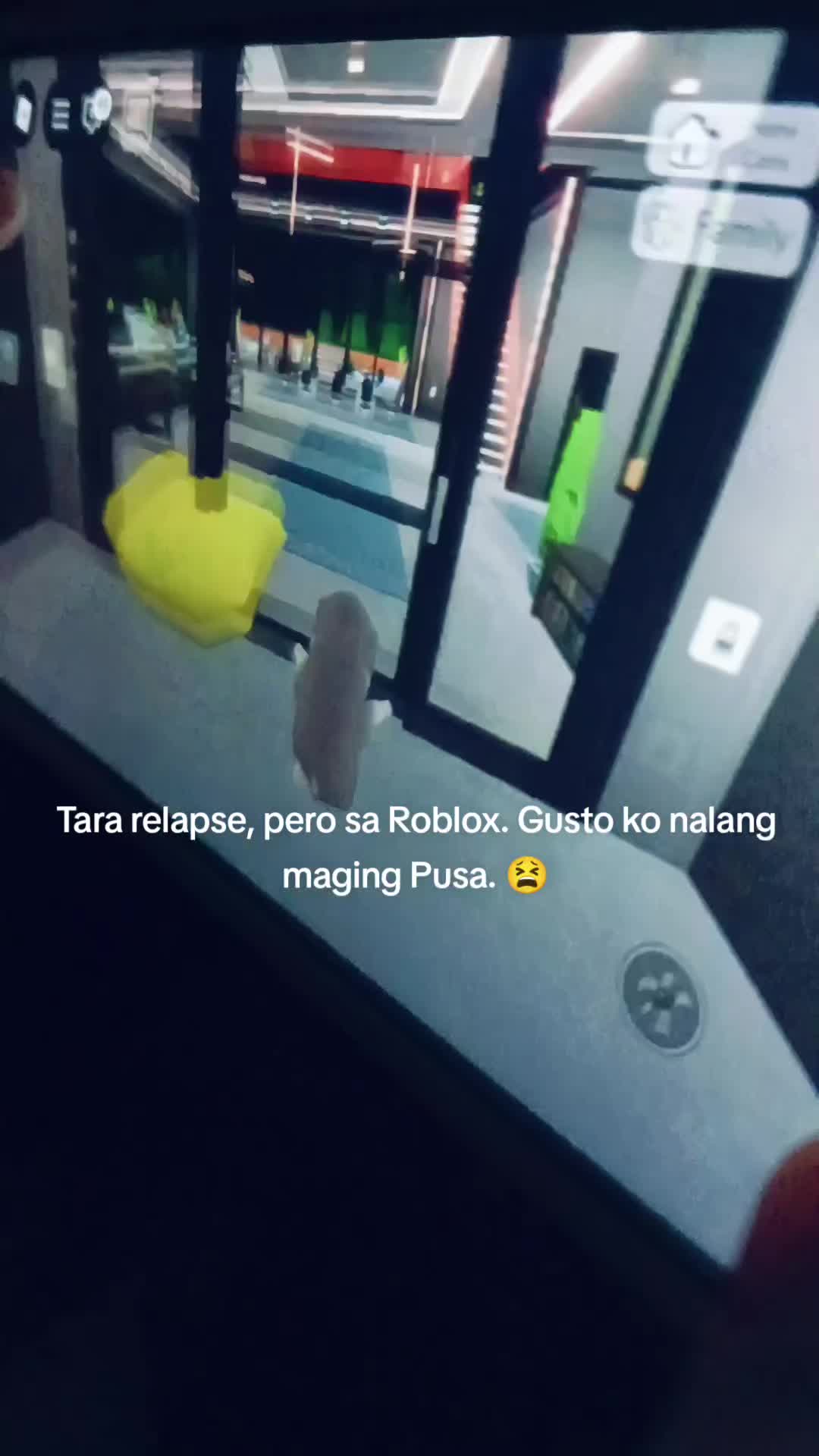 @🍵