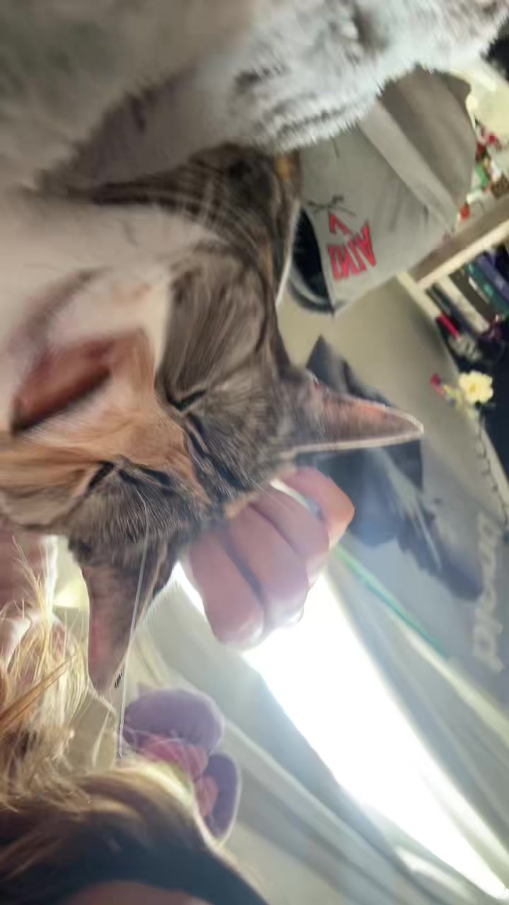 @n 🐈❣️🍨