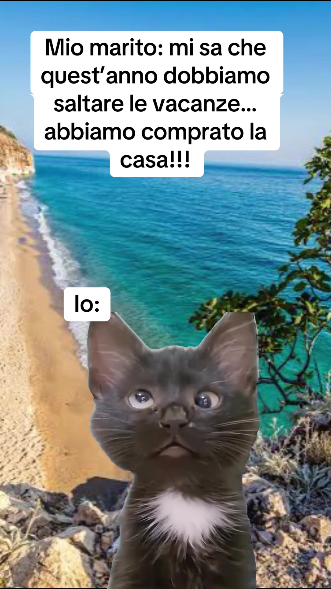 @LOLSempre😜😜