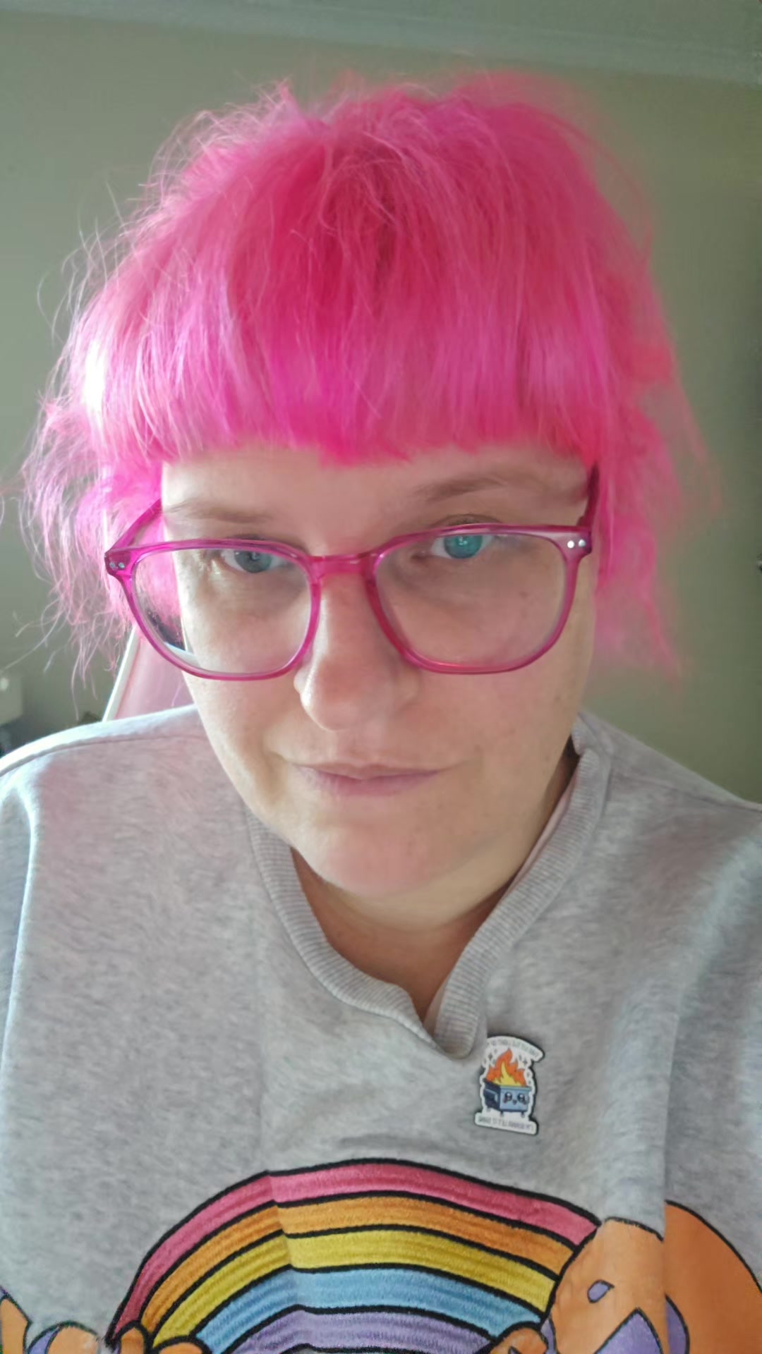 @🩷 The Pink Haired Lady 🩷