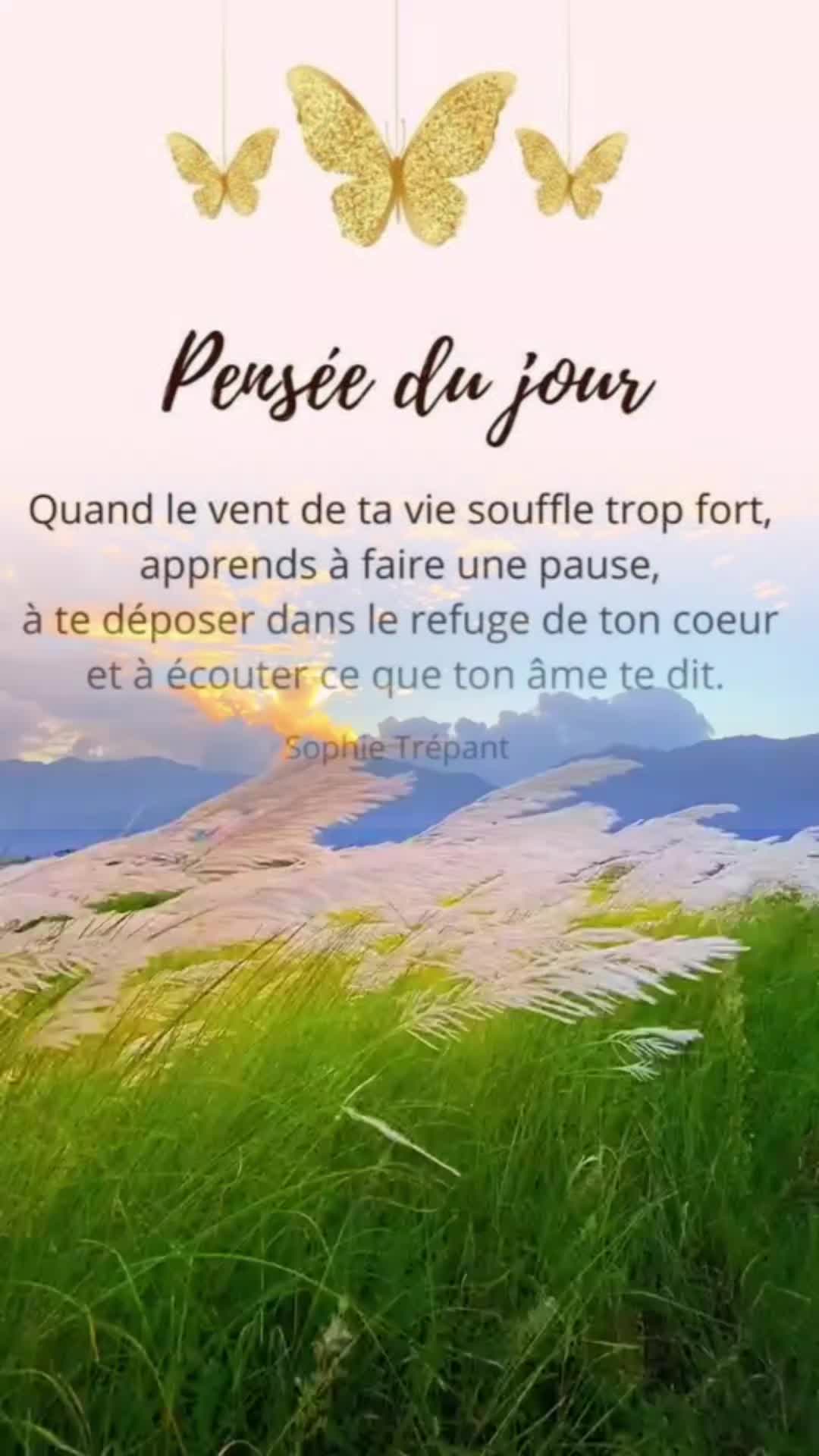 @✨️🧚&zwj;♀️ Lumi&egrave;re de Fae ✨️🧚&zwj;♀️