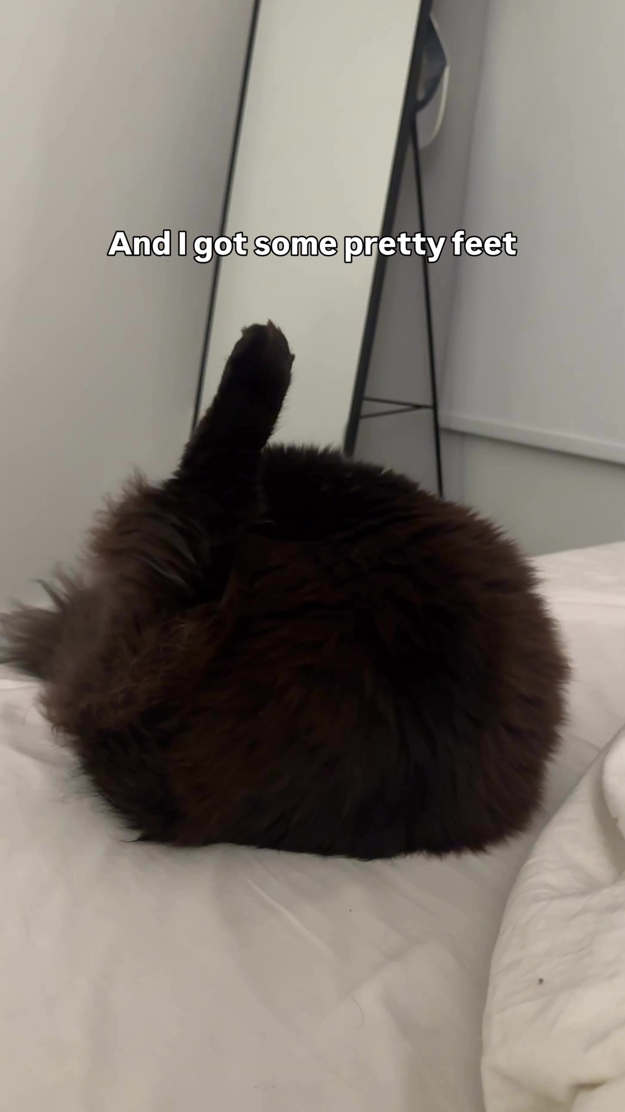 @truffie.nugget