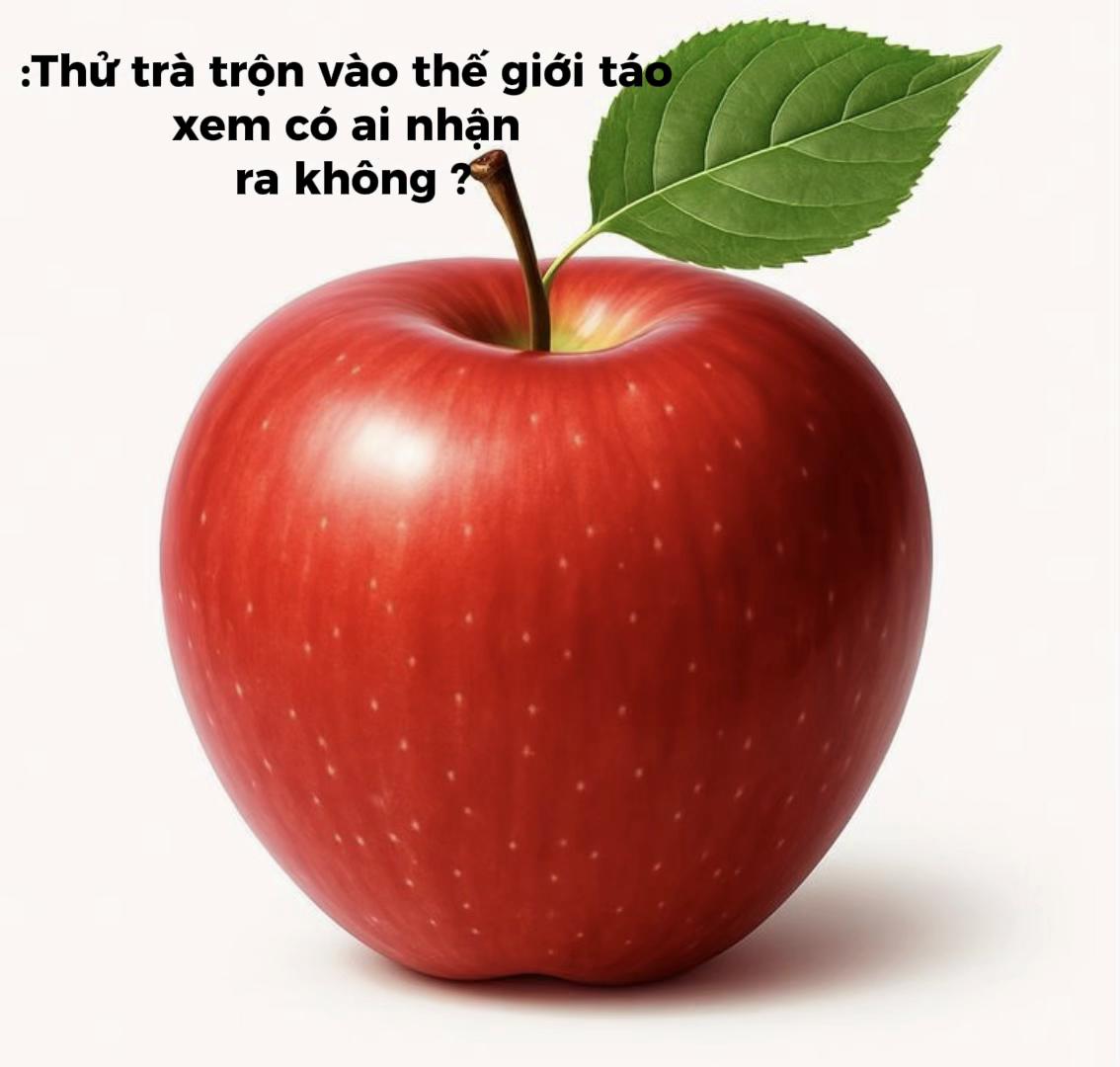@๐ป๐๐๐ ๐๐ข๐๐