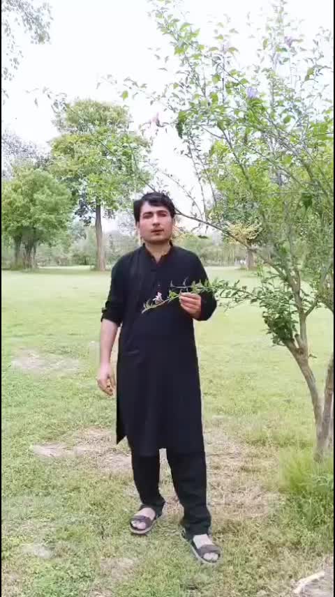 @SAMI.KHAN