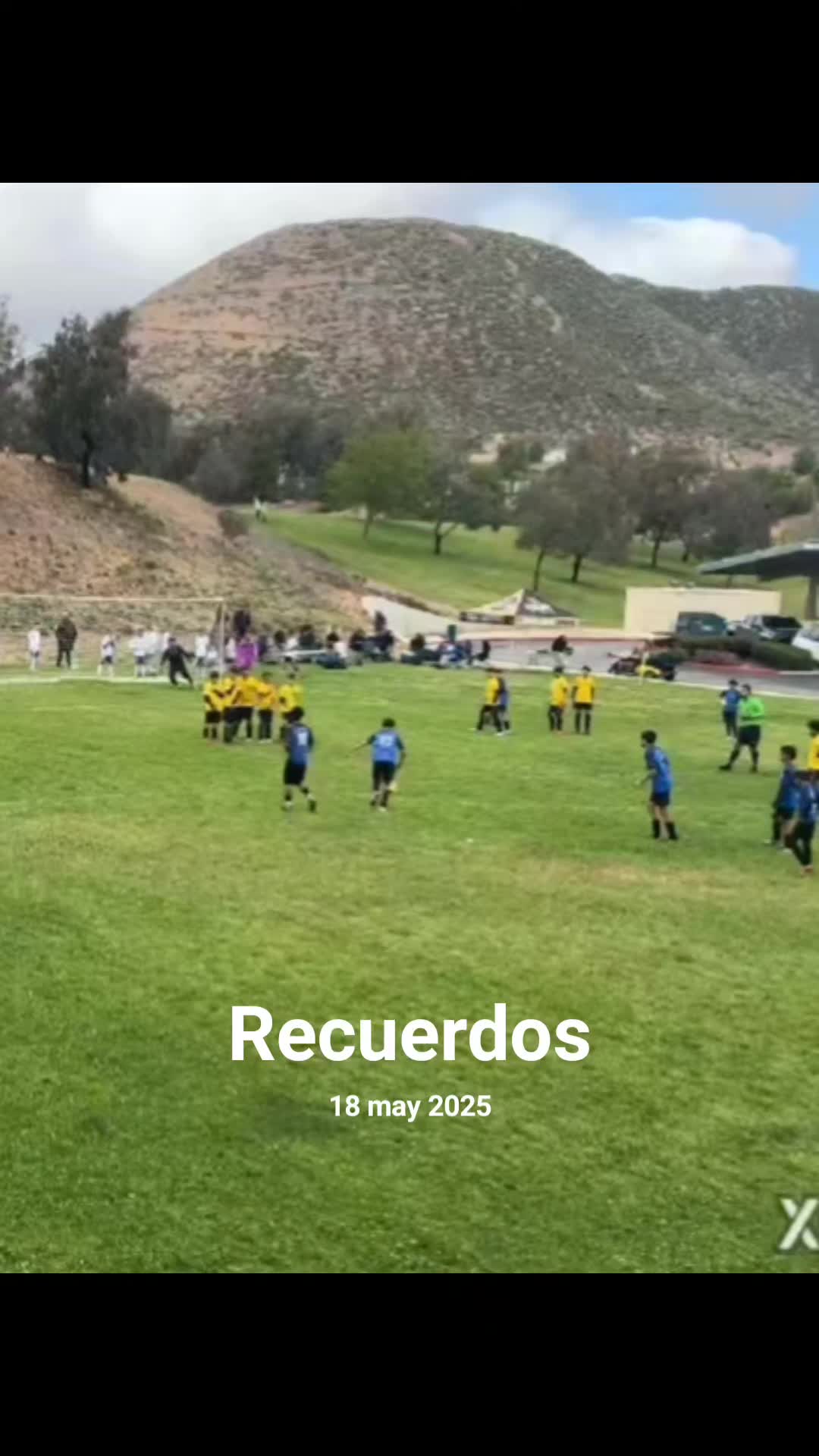 @el puma de manzanillo