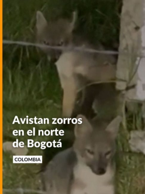 @Noticias Caracol