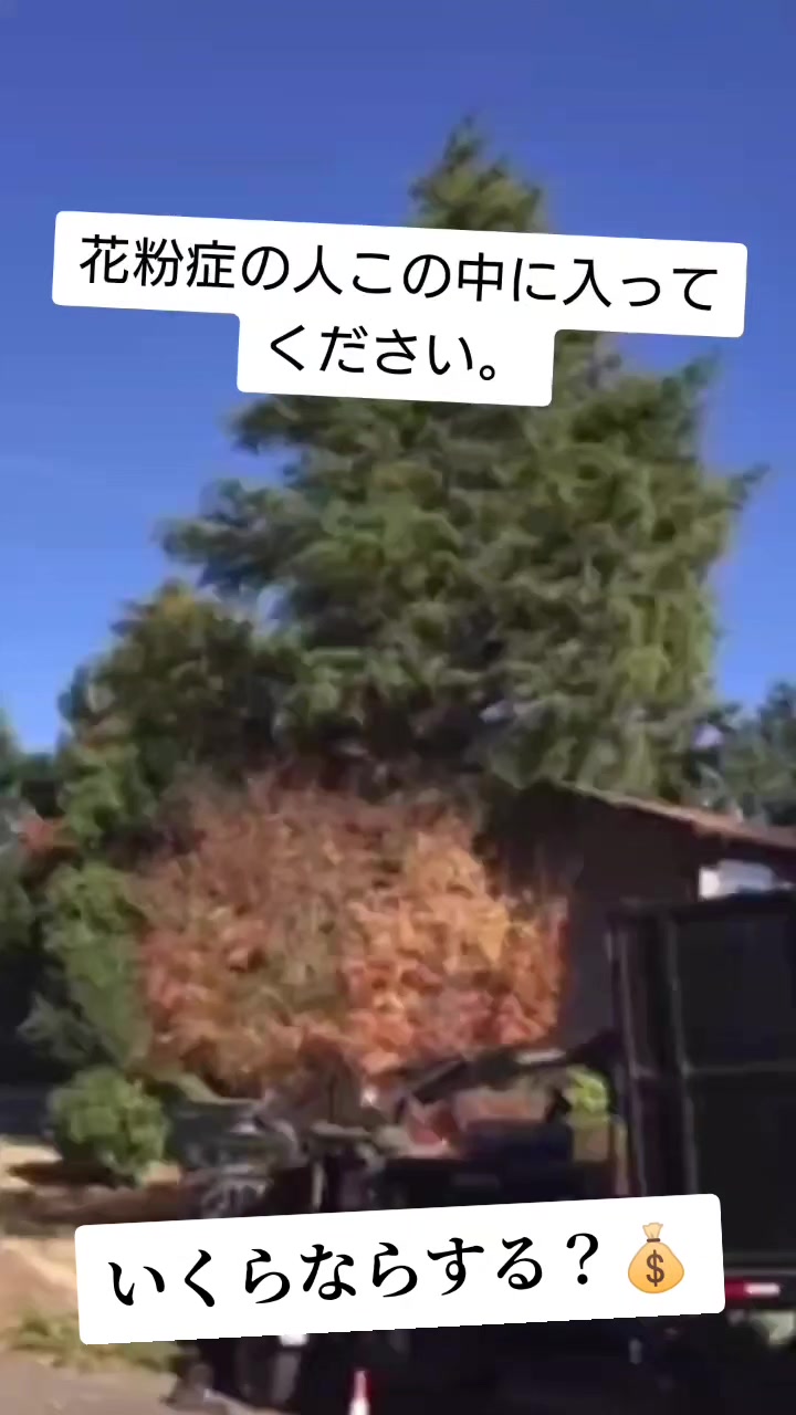 @バズらないと嫌〜
