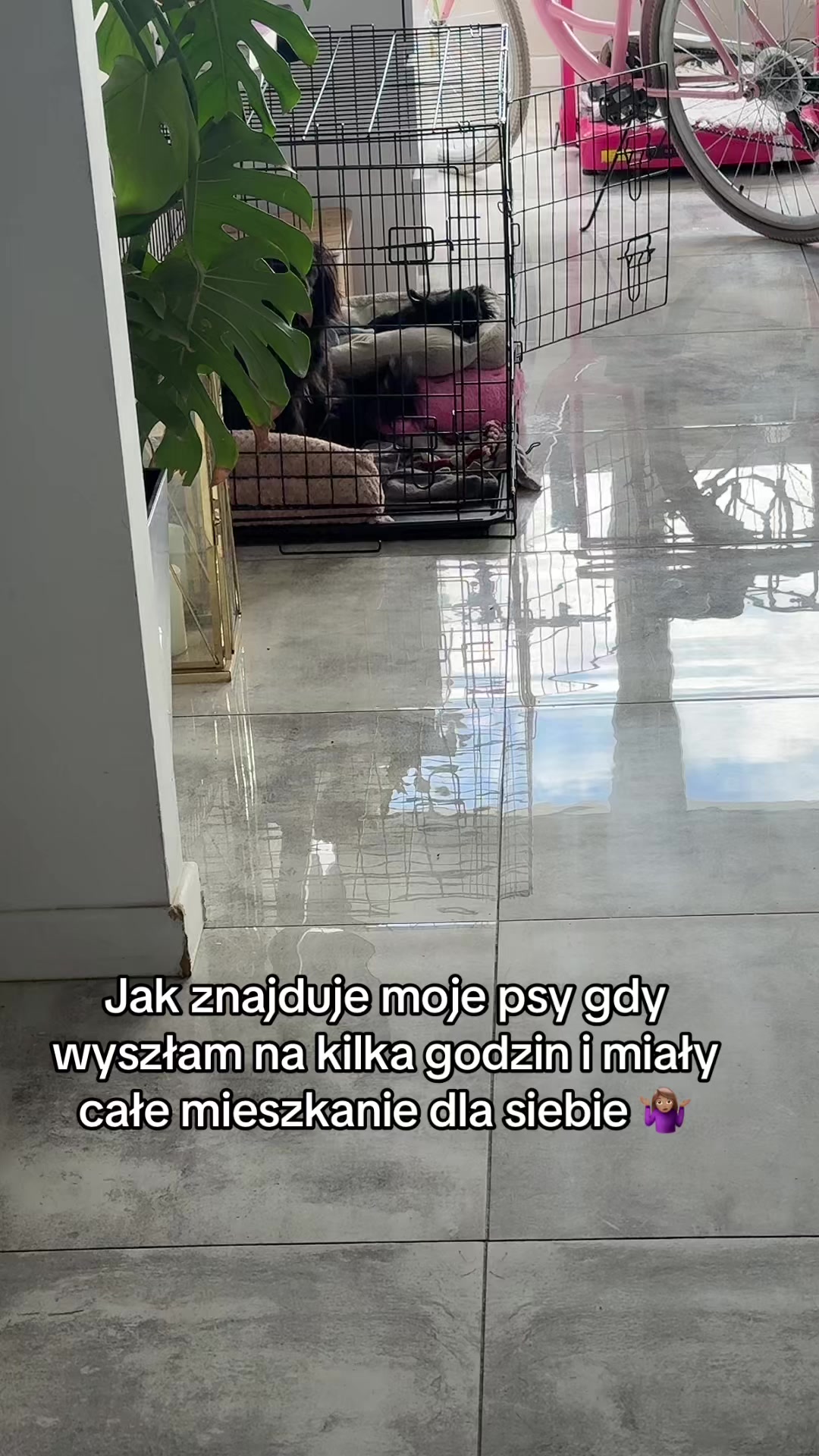 @klaudia.zakowicz