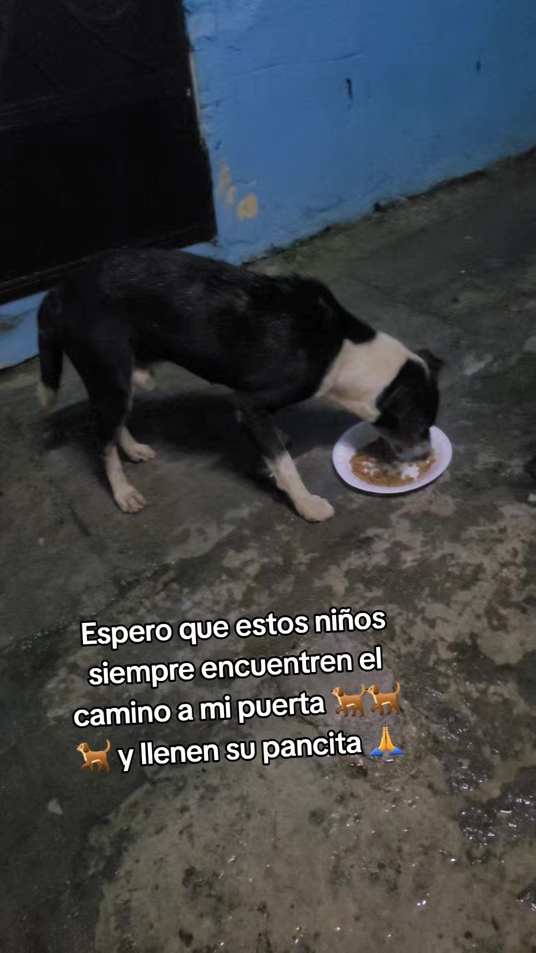 @𝕃𝕚𝕤𝕤 ℝ𝕖yes🇸🇻