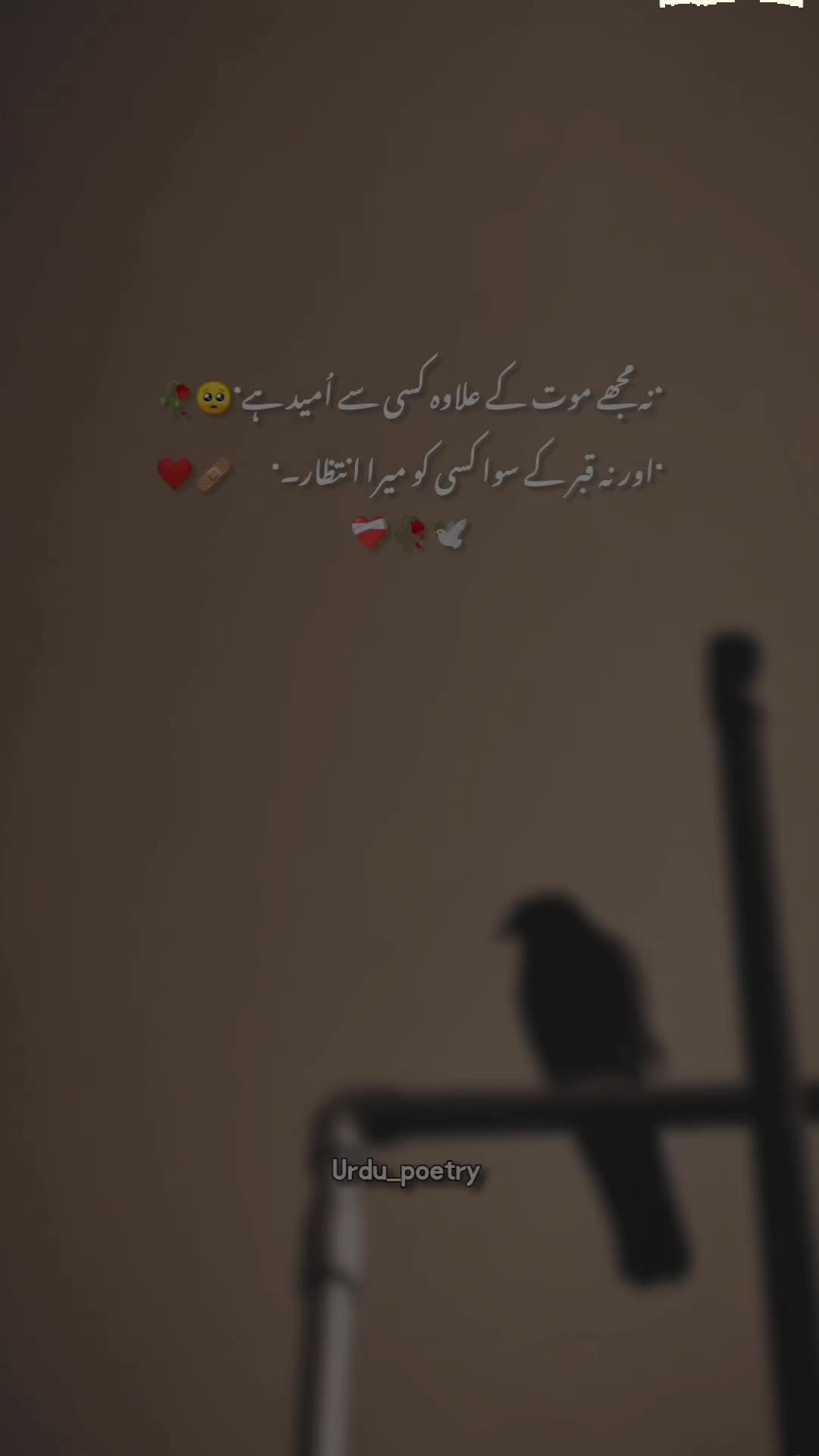 @𝐃𝐞𝐞𝐩 𝐥𝐢𝐧𝐞𝐬 ✨