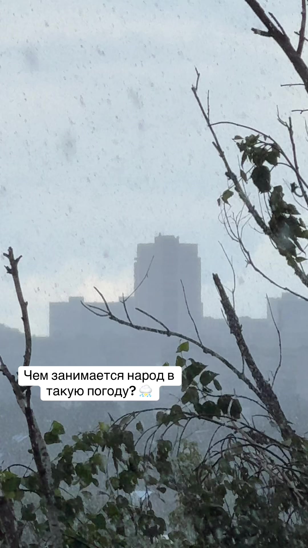 @Давид Гарибян
