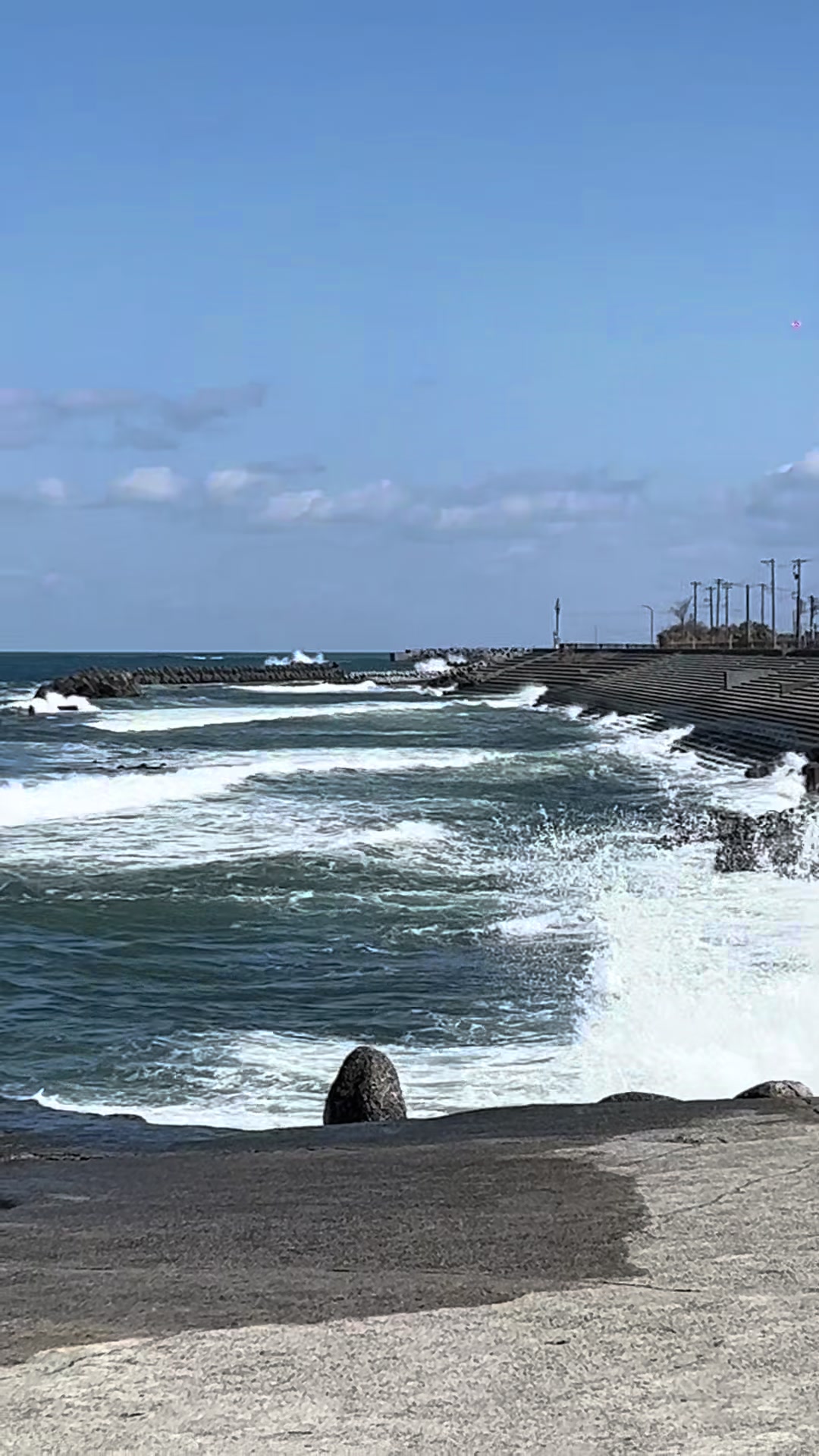 @jellyboarder