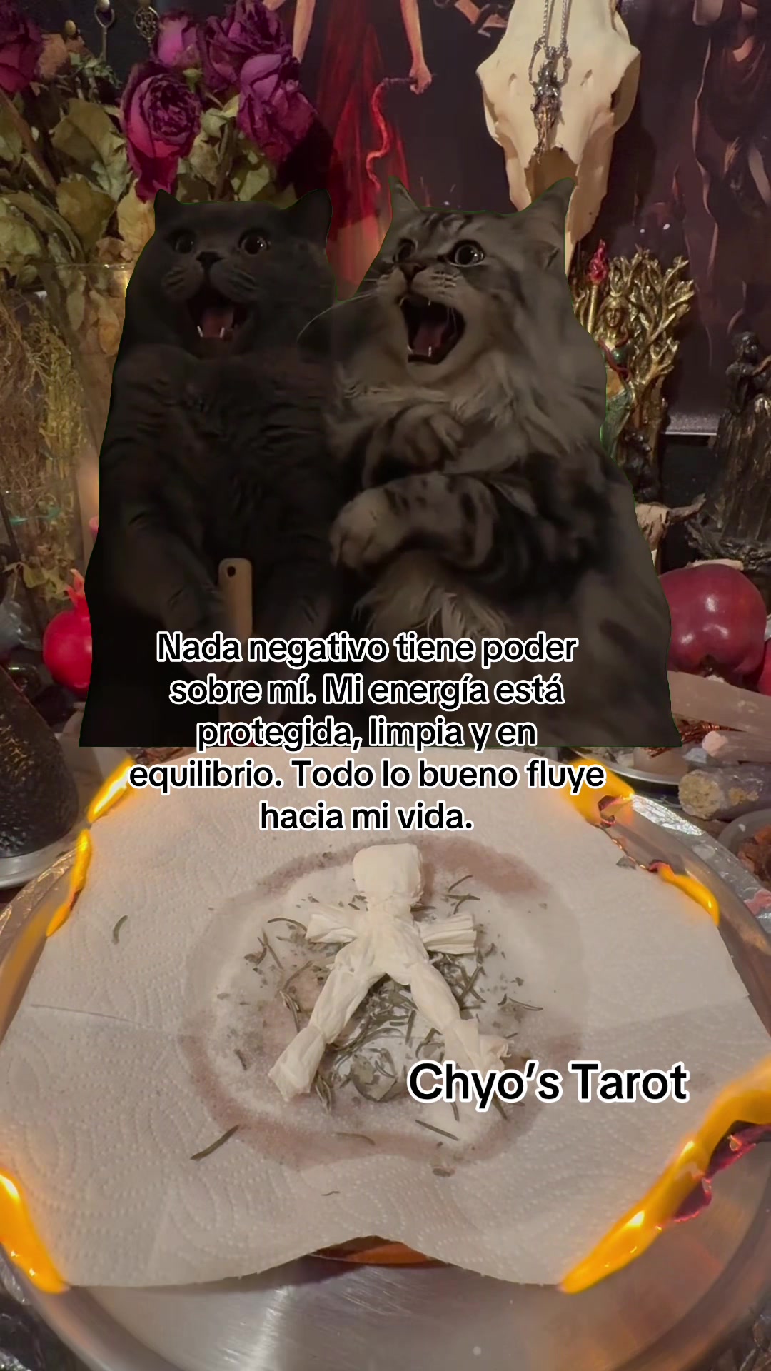 @chyos_tarot