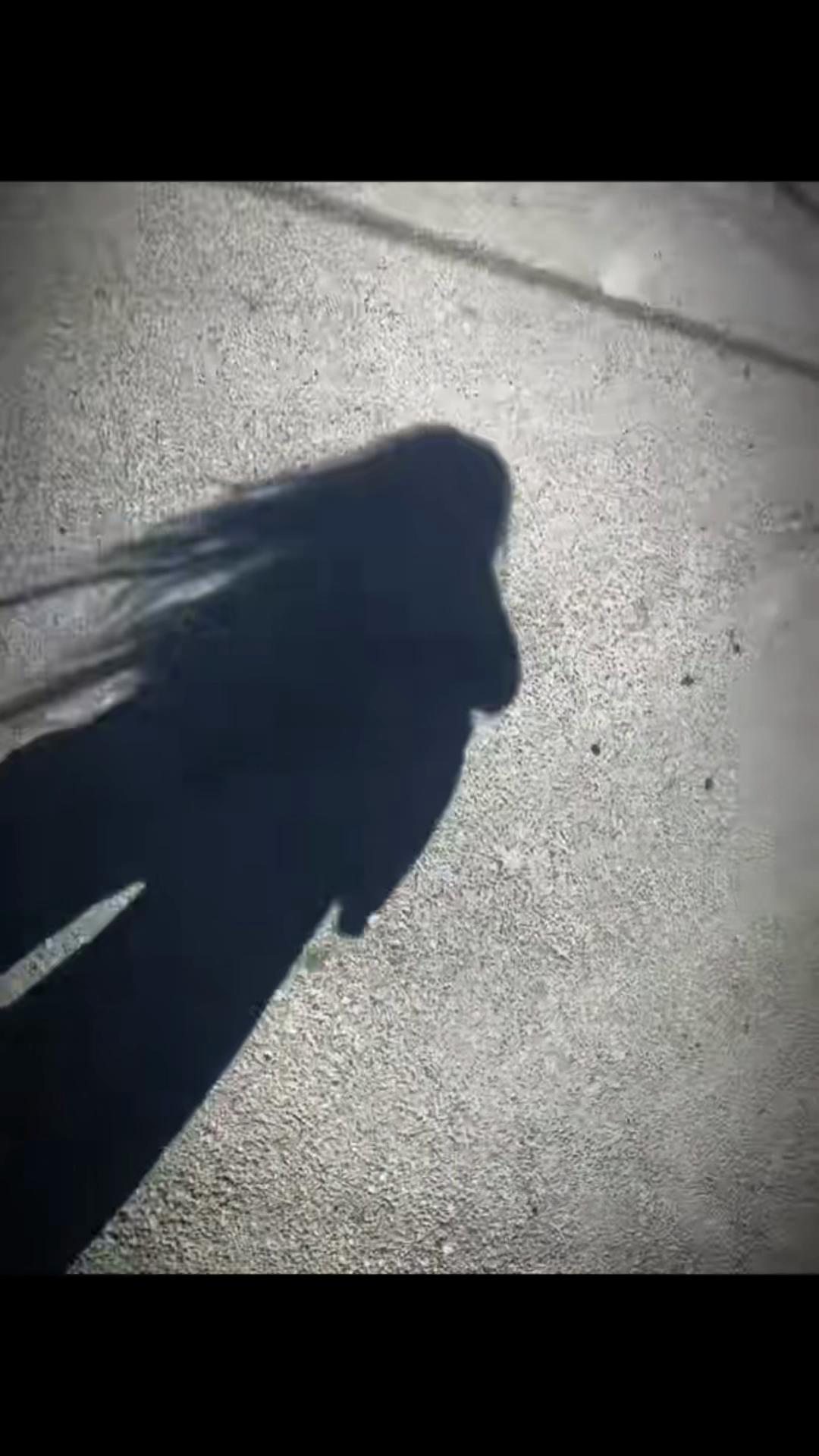 @1nokte.