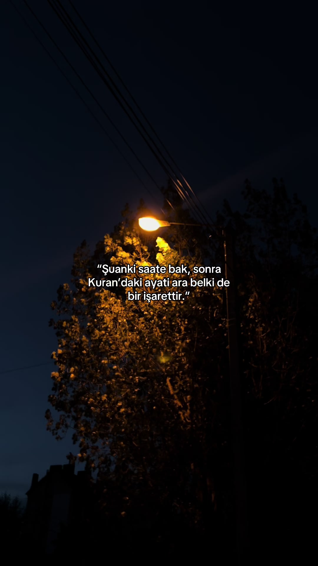 @𝓞.