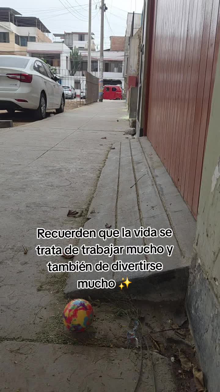 @Thor y Linda 🐾🐕❤️
