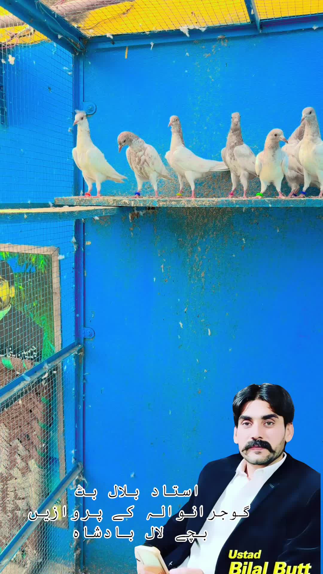 @Ustad Bilal Butt