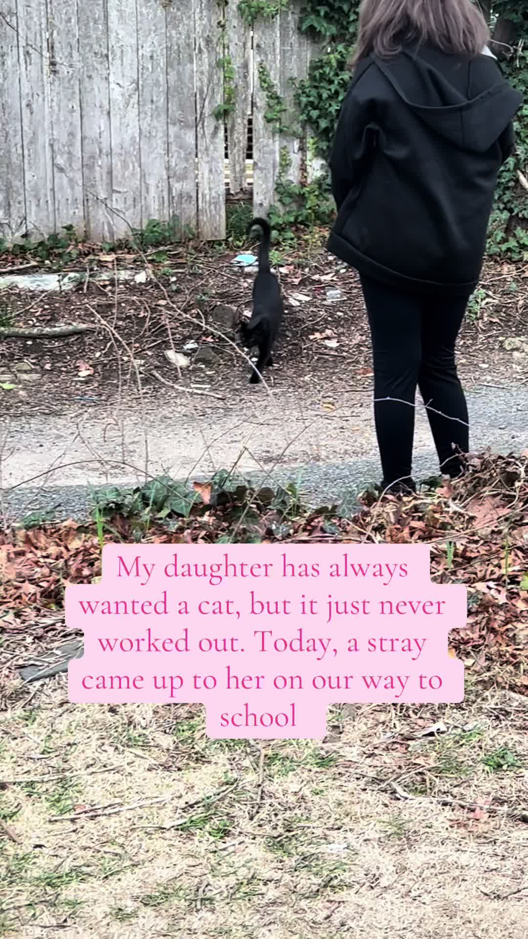 @Brittnee ♏️☮️☯️💖🎀