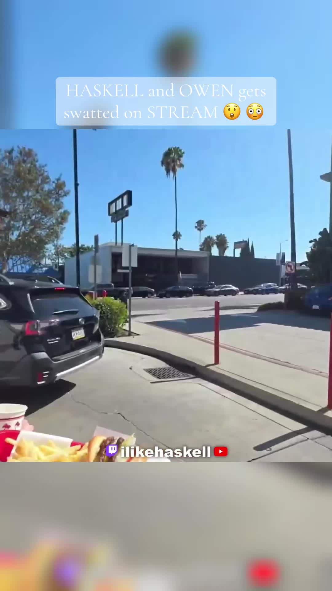 @thecrystalizaguirrefiles
