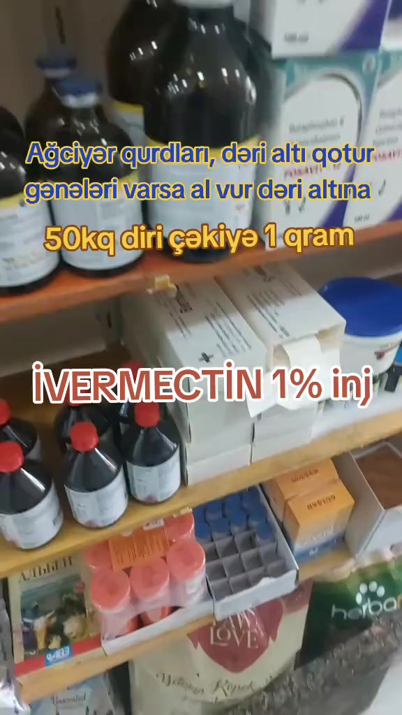 @Veterinar Dr.Firdovsi | Baytar