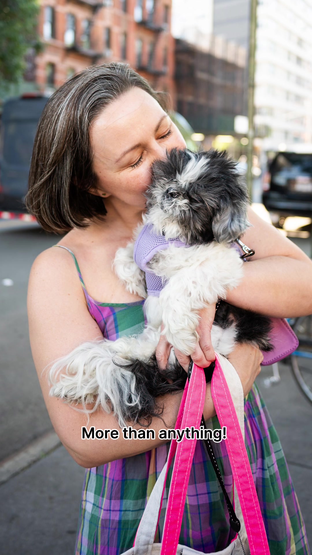 @The Dogist