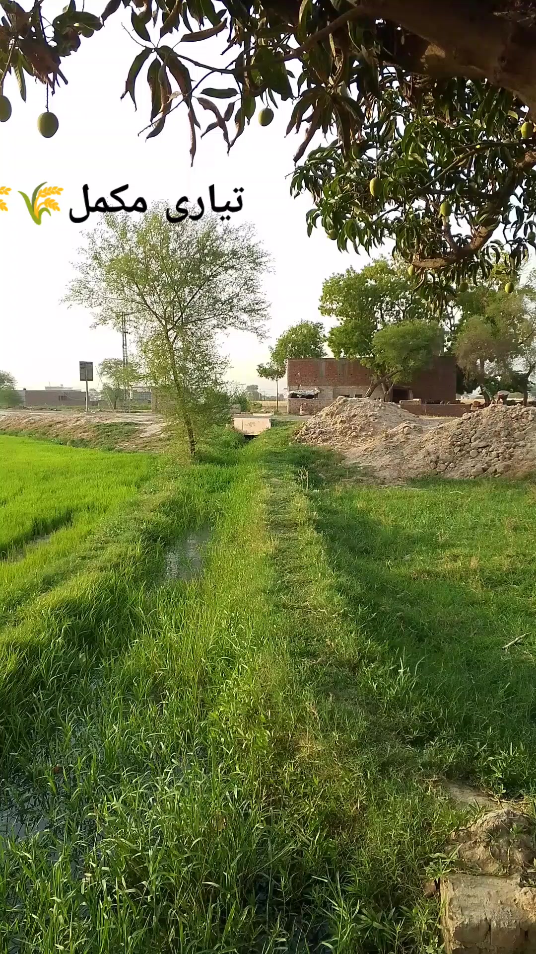 @CH ABDUL BASIT