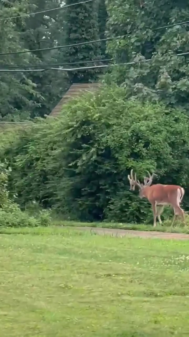 @Buckmasters Outdoors
